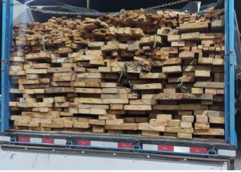 PRF apreende madeira nativa do Pará transportada ilegalmente na Bahia