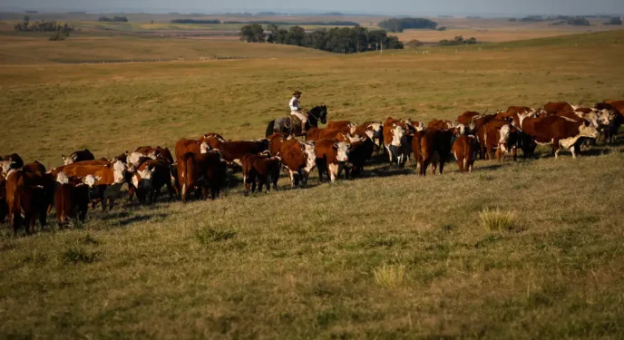 Lotofácil: Duas apostas ganham R$ 838 mil cada uma