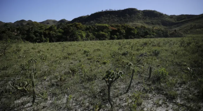 Cerrado perde em janeiro área equivalente a 1,6 mil campo de futebol