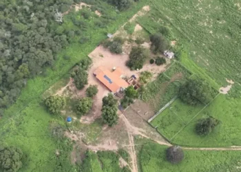 Família suspeita de tráfico na Bahia tem R$ 50 milhões bloqueados