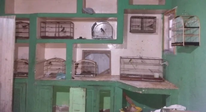 PM resgata 700 aves silvestres no interior baiano
