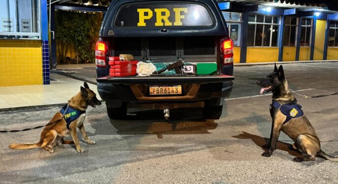 Mulher com criança é flagrada com submetralhadora e drogas em um ônibus