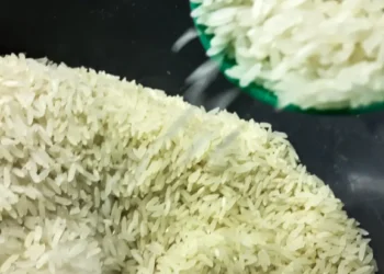 Suspeita de fraude leva governo cancelar compra de arroz importado