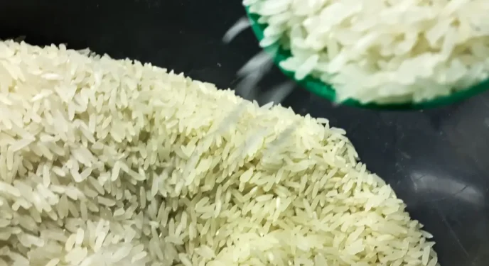 Suspeita de fraude leva governo cancelar compra de arroz importado