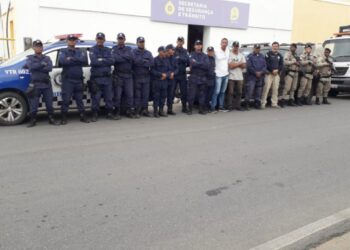 Forças policias fazem operação contra animais soltos no interior baiano