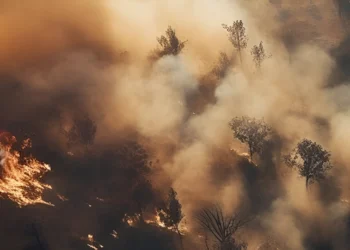 Queimadas batem recordes no Brasil