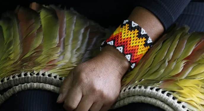 Assassinatos de indígenas tem segundo pior ano na história no Brasil em 2023