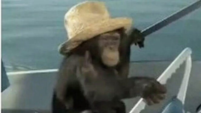 Ministério brasileiro faz postagem racista nos Jogos de Paris: “Erro cometido”