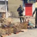 PM aprende centenas de aves em mega ação contra comércio ilegal na Bahia