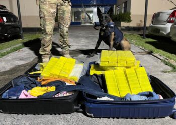 PRF prende mulher com mais de 50 kg de maconha em ônibus na Bahia