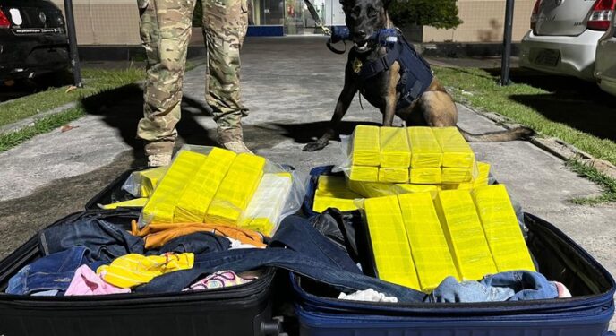 PRF prende mulher com mais de 50 kg de maconha em ônibus na Bahia
