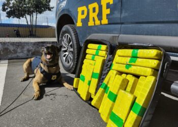 Mais de 22 Kg de maconha são apreendidos em ônibus na Bahia
