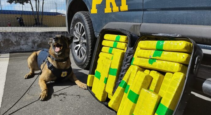 Mais de 22 Kg de maconha são apreendidos em ônibus na Bahia