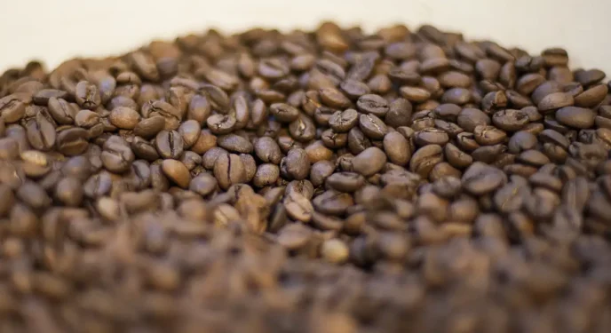 Venda de 16 marcas de cafés é proibida por estarem impróprios para consumo