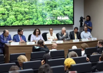 Governo debate recordes de incêndios e desmatamento em gabinete