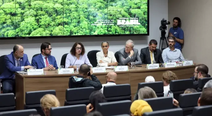 Governo debate recordes de incêndios e desmatamento em gabinete