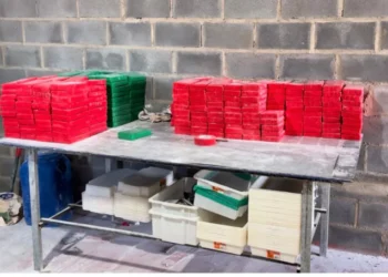 PC baiana apreende mais de R$ 11 milhões em cocaína