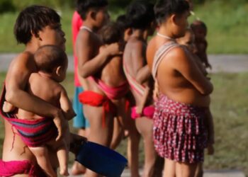 Governo oculta dados sobre yanomamis e fere Lei de Acesso à Informação