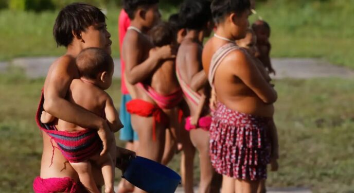 Governo oculta dados sobre yanomamis e fere Lei de Acesso à Informação