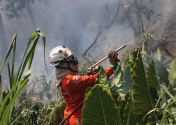Bombeiros reforçam combate e debelam centenas de incêndios florestais na Bahia