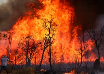 Incêndios se alastram em parques; SUS vai dar apoio a estados e municípios