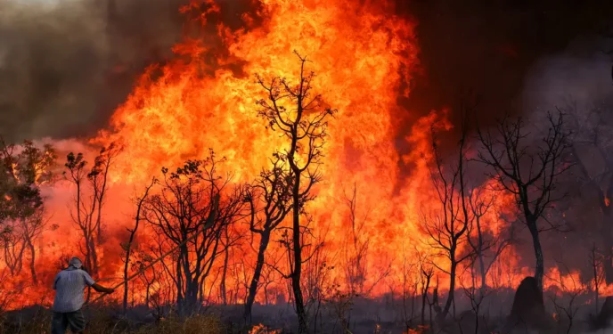 Incêndios se alastram em parques; SUS vai dar apoio a estados e municípios