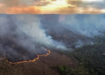 Omissão federal: Incêndio queima 10 mil hectares na Chapada dos Veadeiros
