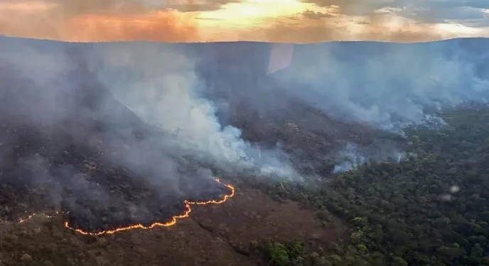 Omissão federal: Incêndio queima 10 mil hectares na Chapada dos Veadeiros