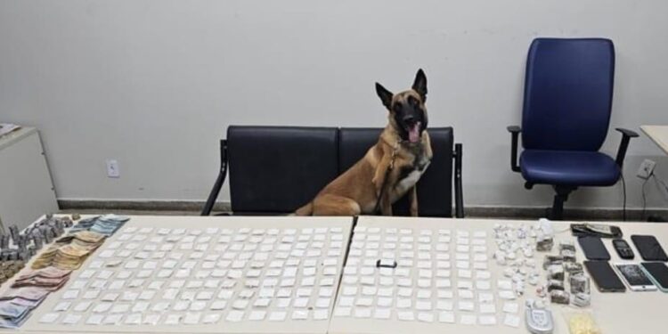 Morre líder do tráfico de drogas no interior baiano