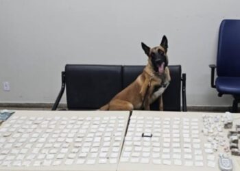 Morre líder do tráfico de drogas no interior baiano