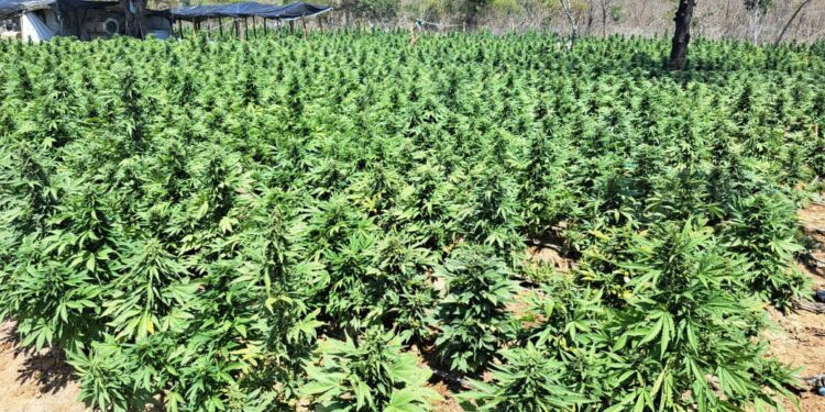 Polícia baiana desmonta laboratório de produção de drogas