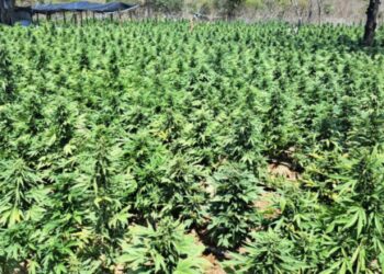 Polícia baiana desmonta laboratório de produção de drogas