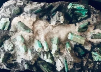 Pedra preciosa baiana é leiloada hoje por no mínimo R$ 150 milhões