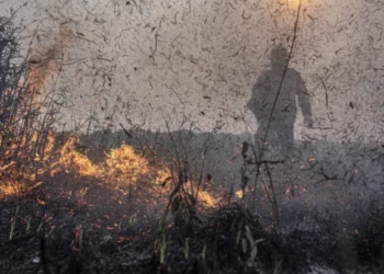 Omissão Federal: Focos de incêndios no Brasil crescem 76% em um ano