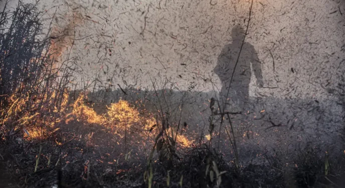 Omissão Federal: Focos de incêndios no Brasil crescem 76% em um ano