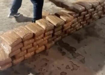 Operação policial na Bahia e mais 3 estados encontra 200 kg de cocaína