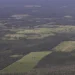 Desmatamento diminui na Mata Atlântica mas continua elevado
