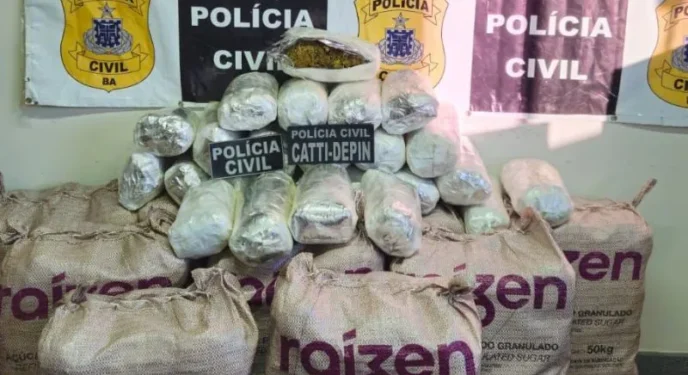 Polícia Civil baiana apreende maconha avaliada em R$ 2 milhões
