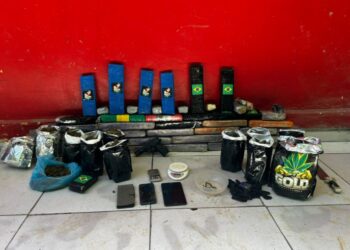 Operação desmonta esquema de maconha “indoor” na Bahia