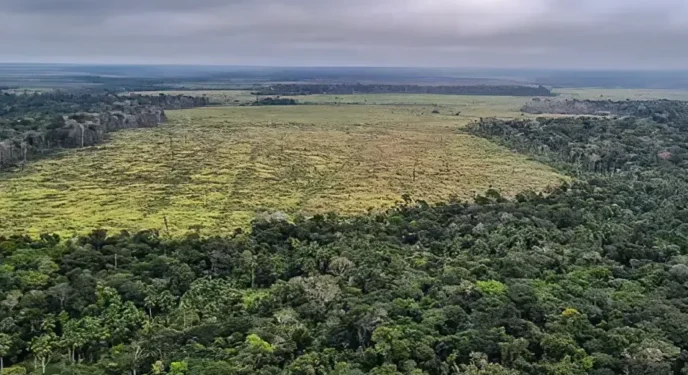 Amazônia pode perder área florestal equivalente a Macapá em 2025