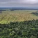 Amazônia pode perder área florestal equivalente a Macapá em 2025
