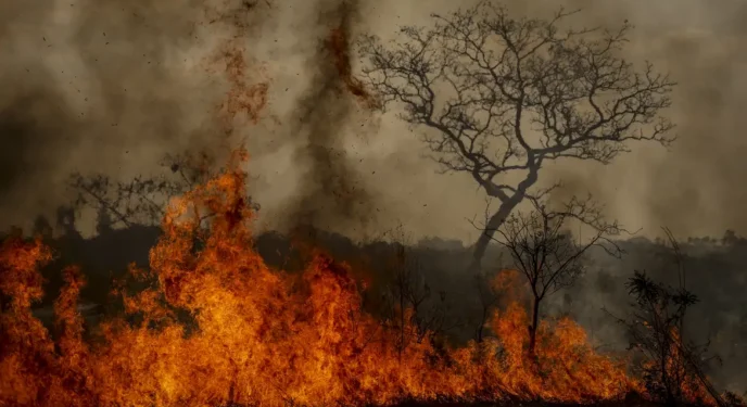 Desastres climáticos aumentaram 250% nos últimos 4 anos no país