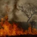 Desastres climáticos aumentaram 250% nos últimos 4 anos no país
