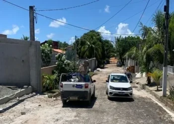 Mais de 30 gatos de água são removidos em condomínio de alto padrão na Bahia