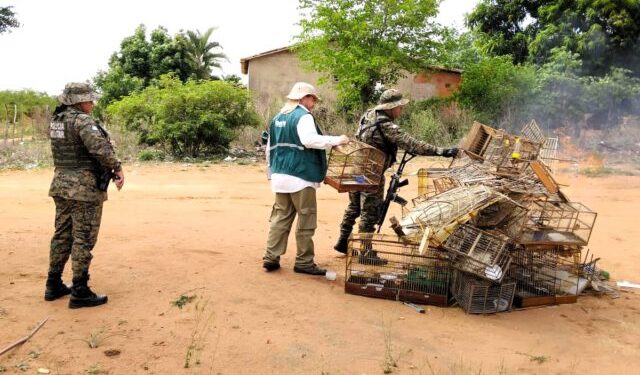 Operações resgatam 140 animais e apreendem armas de fogo apetrechos de caça