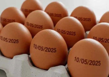 Pressionado, Governo suspende determinação de carimbar ovos