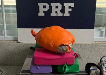 PRF apreende entorpecentes, bebida alcoólica e cigarros eletrônicos na Bahia