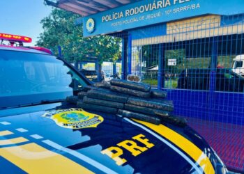 PRF apreende 19 kg de drogas em fiscalização a ônibus na Bahia