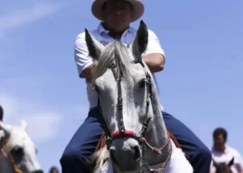 STF valida emenda constitucional que legitima a prática da vaquejada