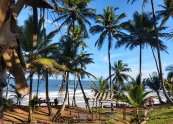 STF invalida lei da Bahia que permitia supressão de áreas de vegetação nativa